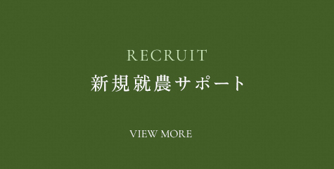 hb_recruit